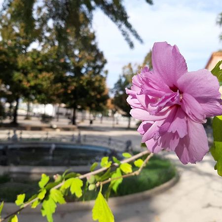CasAndrea Castellammare di Stabia Eksteriør billede